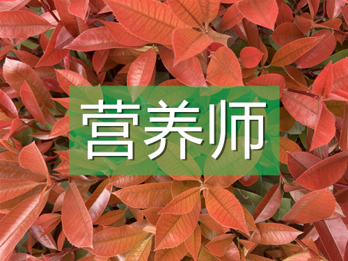 營(yíng)養(yǎng)師